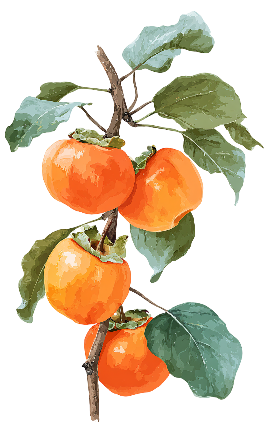 柿子水彩风元素