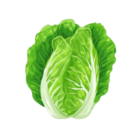 卡通风格高清PNG蔬菜插画设计素材
