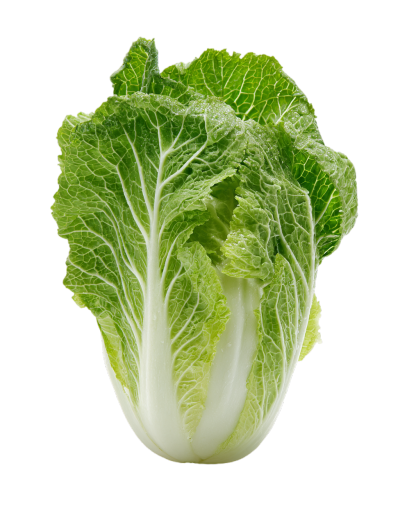 白菜可商用插图