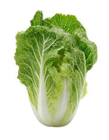 白菜可商用插图
