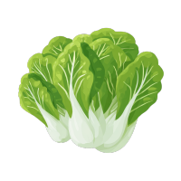 白菜插画设计素材