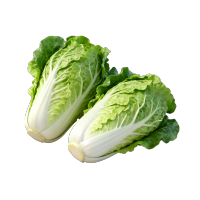 鲜绿色大白菜