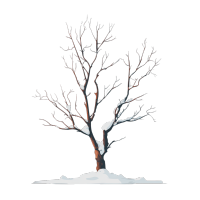 雪顶枯树霜降插画