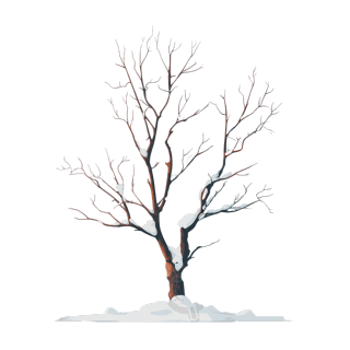 雪顶枯树霜降插画