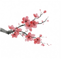 水墨插画桃花梅花