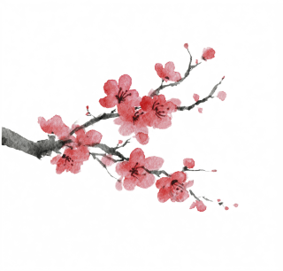 水墨插画桃花梅花