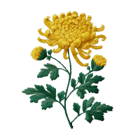简约风格菊花刺绣图案