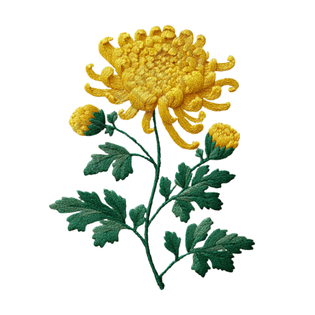 重阳节菊花插图