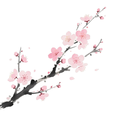 梅花枝插画素材