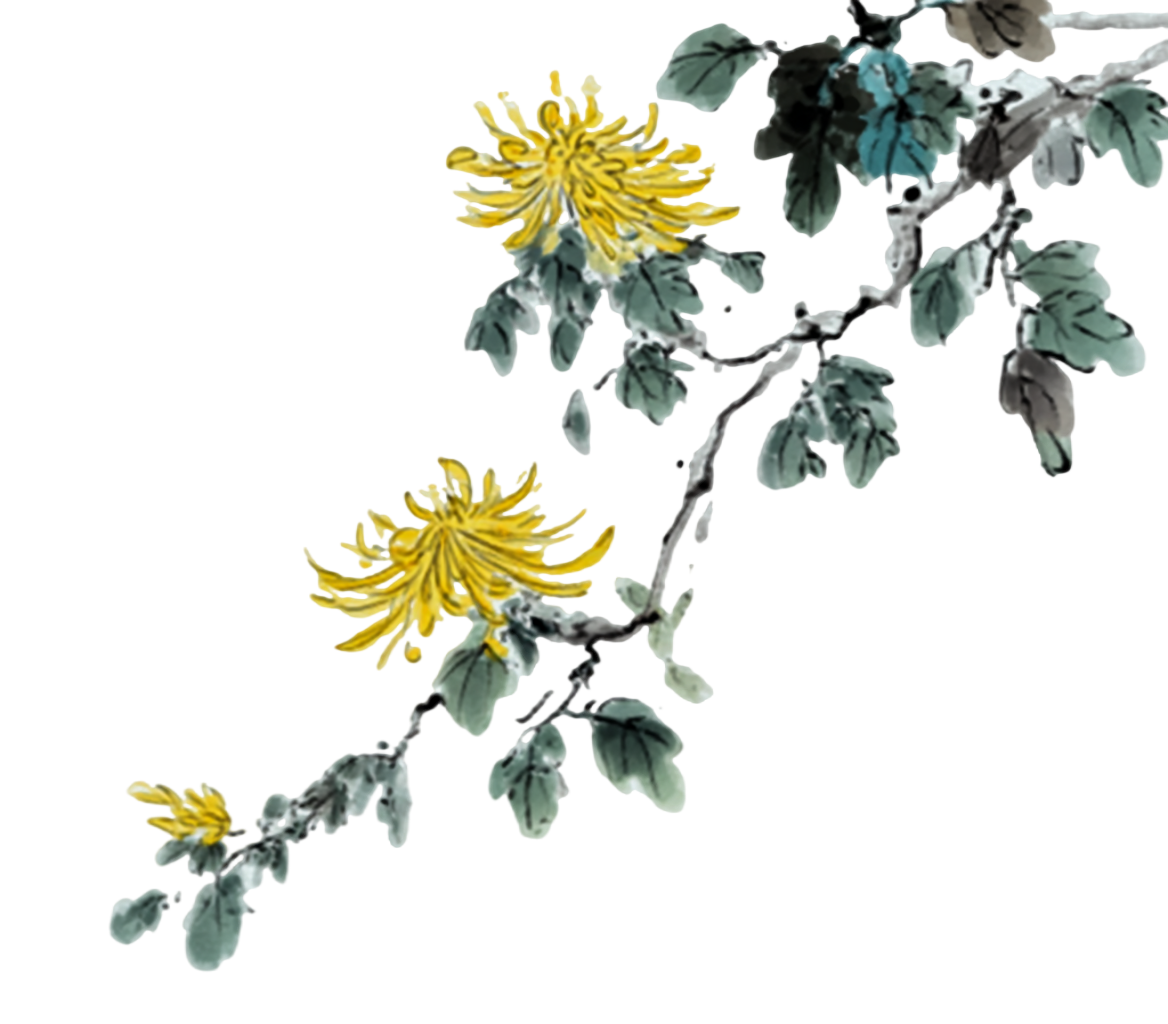 国风菊花插画设计元素