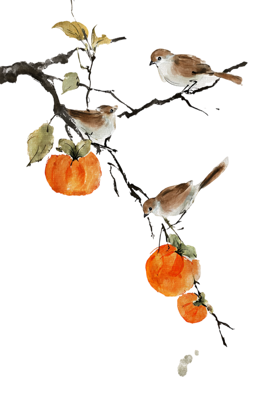 柿子枝头小鸟插图