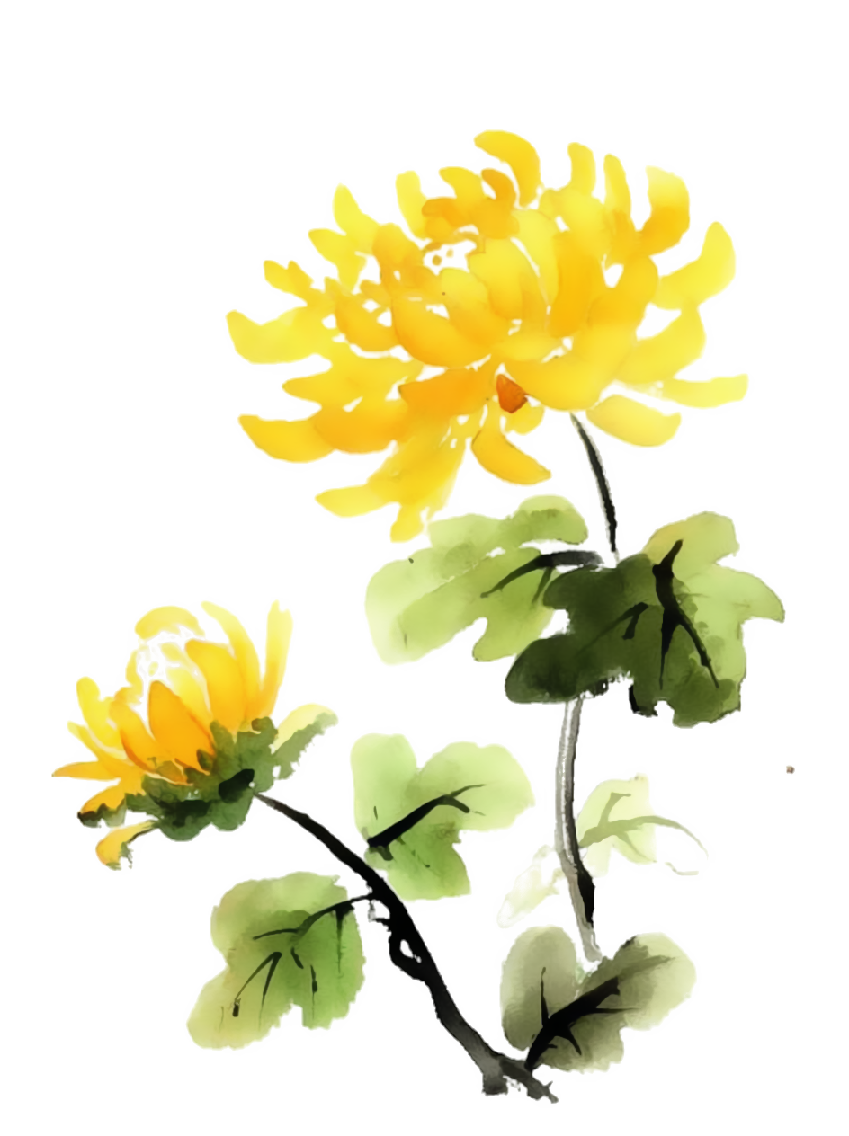 菊花水墨画风插图
