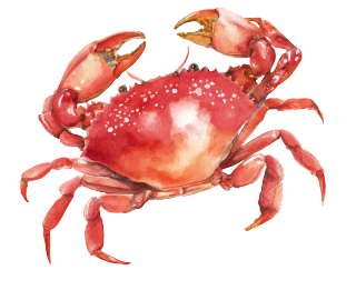 水彩红色螃蟹剪贴画