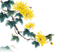菊花水墨风矢量插画