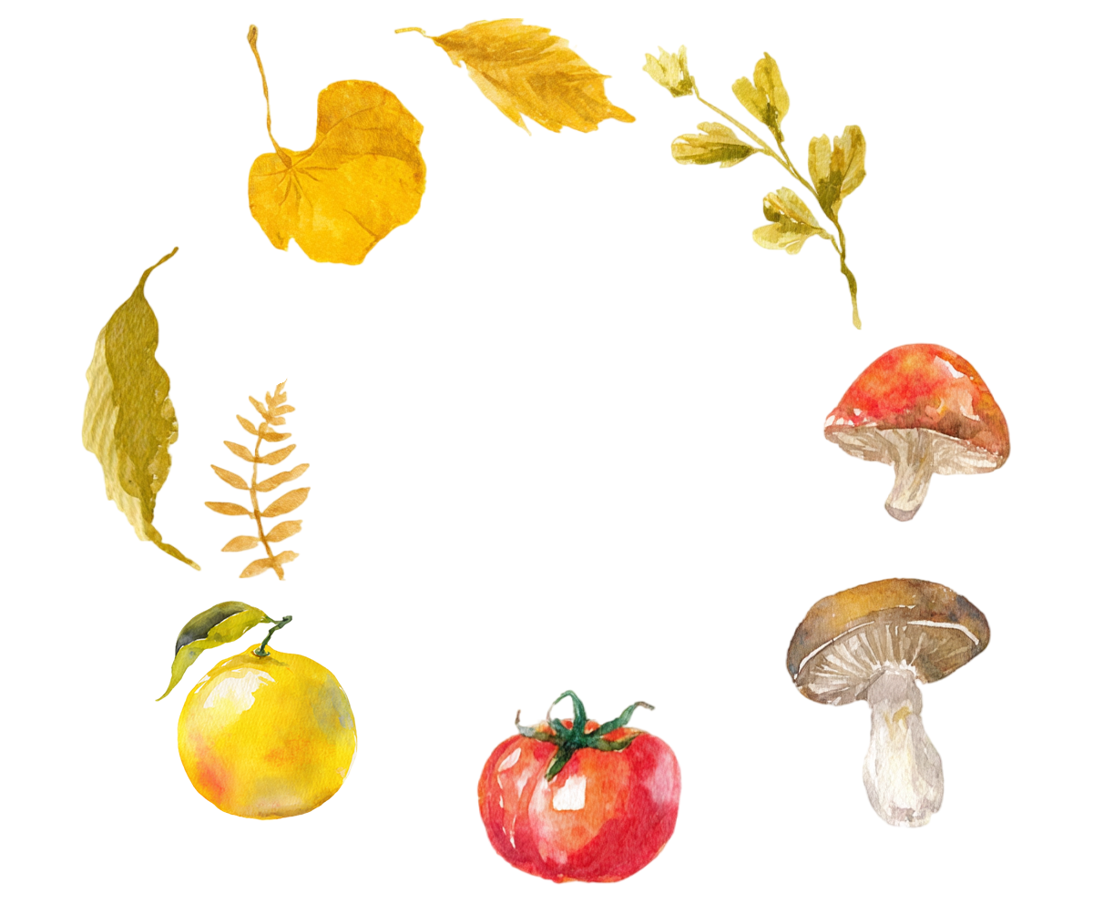 橘子蘑菇秋季水彩插画