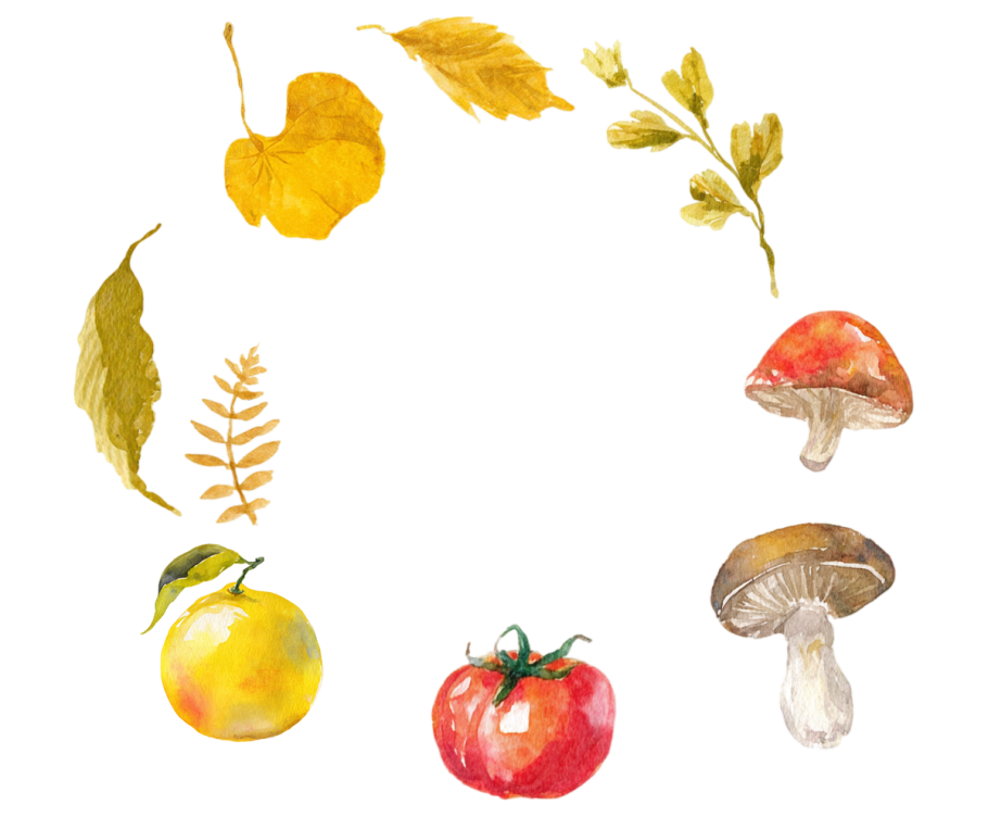 橘子蘑菇秋季水彩插画
