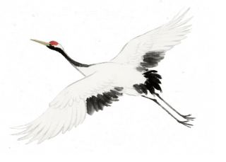 飞鹤古风插画
