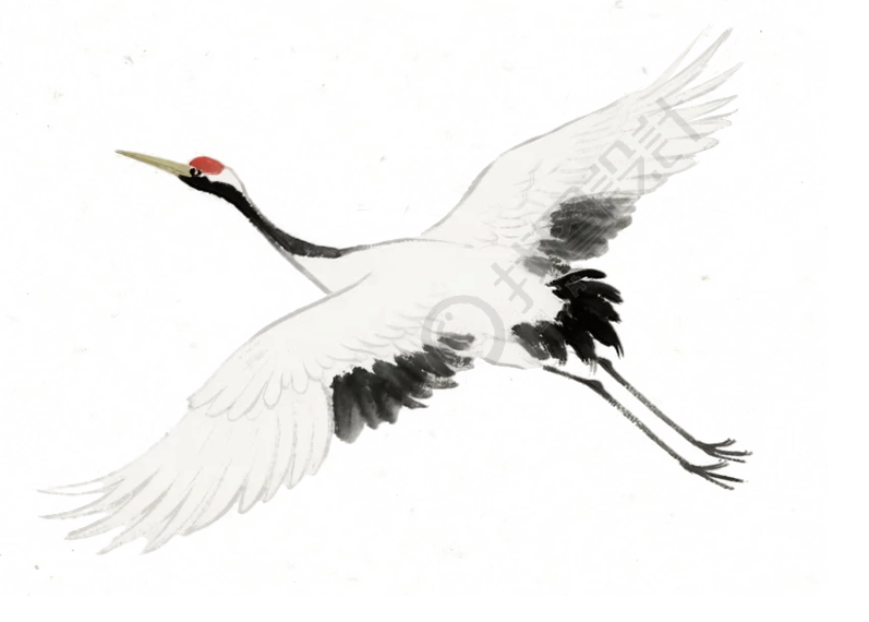 白鹤古风插图