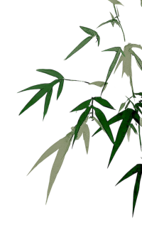 墨绿竹叶PNG元素