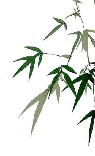 竹枝叶墨画
