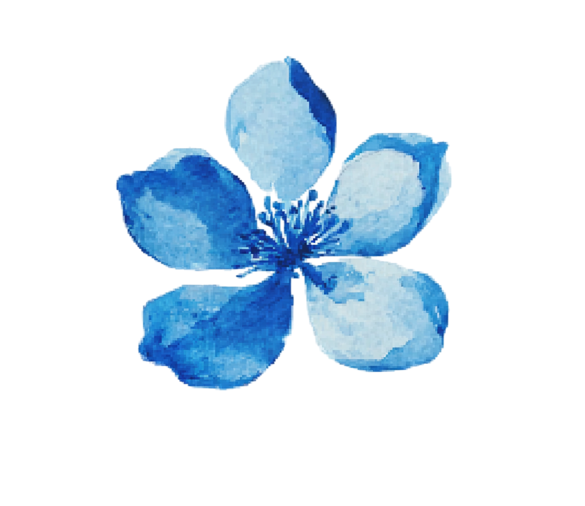 蓝色小花水彩花卉插图