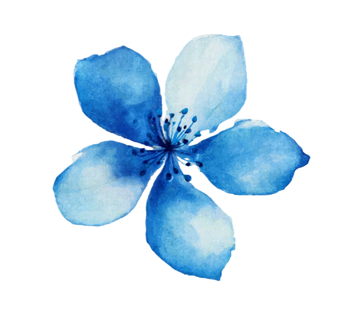 蓝色小花水彩花卉素材