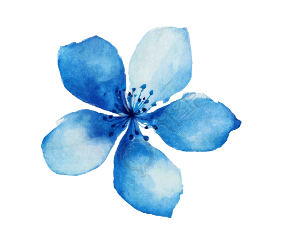蓝色小花水彩花卉素材