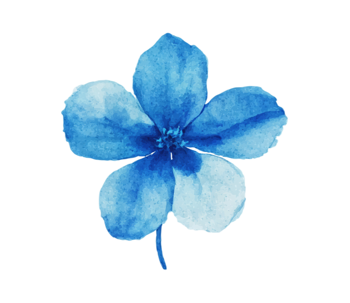 蓝色小花水彩花卉插画