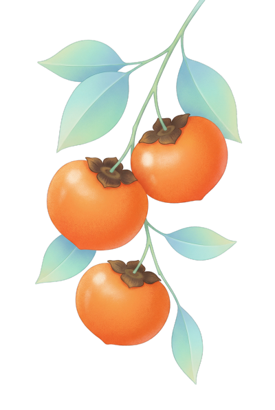 柿子透明背景插图