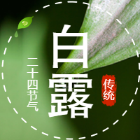 清新绿色白露节气微信公众号次图