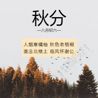 简约实景秋分微信朋友圈方图