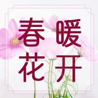 春暖花开春季赏花微信公众号次图