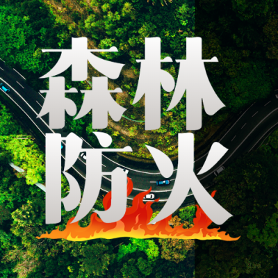 森林防火保护绿色家园实景微信公众号封面次图