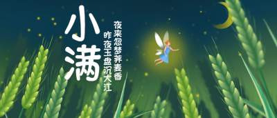 小满节气绿色麦穗微信公众号首图