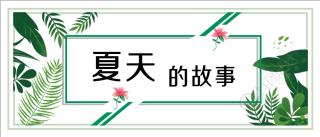 夏天的故事清新植物公众号首图