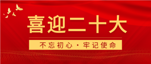 喜迎二十大和平鸽公众号首图