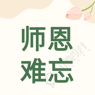 感恩教师节师恩难忘清新简约公众号次图