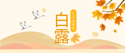 白露山枫叶二十四节气公众号首图