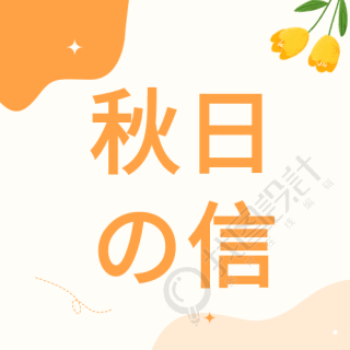 秋日来信秋天郁金香花朵线条秋季封面图