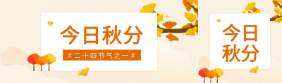 二十四节气秋分枫树枫叶秋季卡通公众号封面图