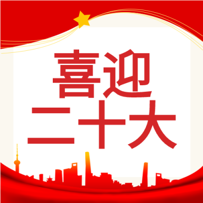 奋斗新征程喜迎二十大党政红色公众号次图