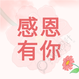 感恩有你简约鲜花线条唯美公众号次图