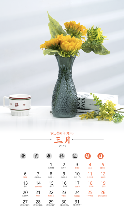 2023兔年三月清新简约日历海报