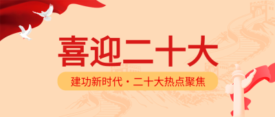 喜迎二十大白鸽长城纪念碑党政红旗封面图