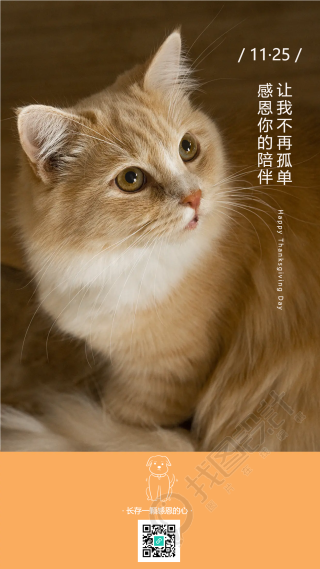 小猫陪伴宠物手机海报