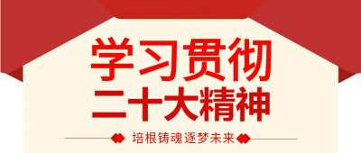 党政学习贯彻二十大微信公众号首图