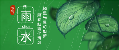 二十四节气雨水绿叶微信公众号首图