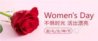 献礼女神节简约玫瑰花微信公众号首图