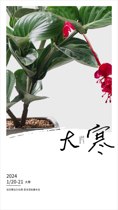 2023年二十四节气冬季大寒海报