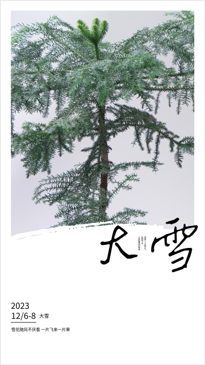 2023年二十四节气冬季大雪海报